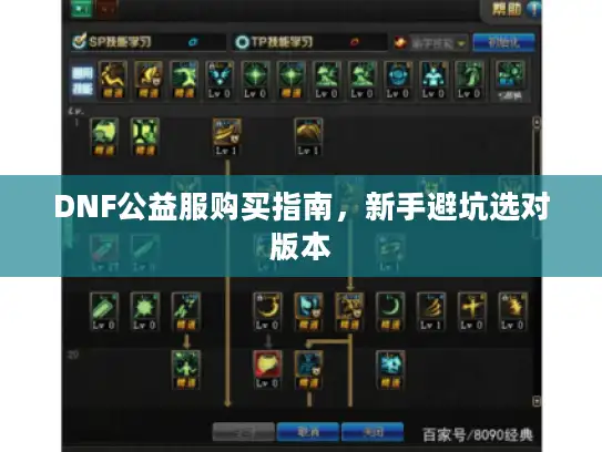 DNF公益服购买指南，新手避坑选对版本