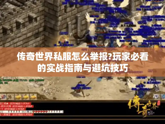 传奇世界私服怎么举报?玩家必看的实战指南与避坑技巧