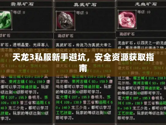 天龙3私服新手避坑，安全资源获取指南