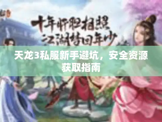 天龙3私服新手避坑，安全资源获取指南