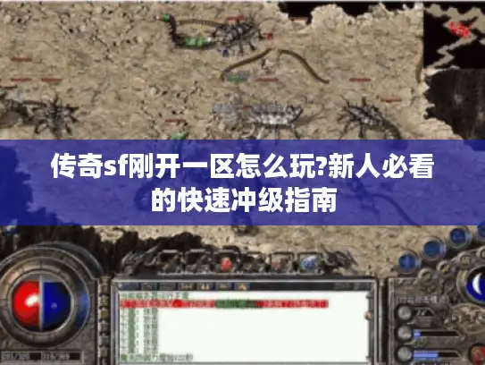 传奇sf刚开一区怎么玩?新人必看的快速冲级指南