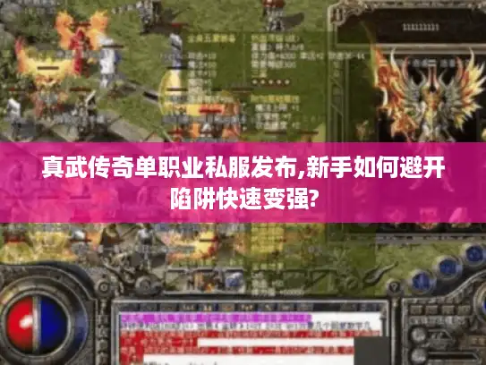 真武传奇单职业私服发布,新手如何避开陷阱快速变强?