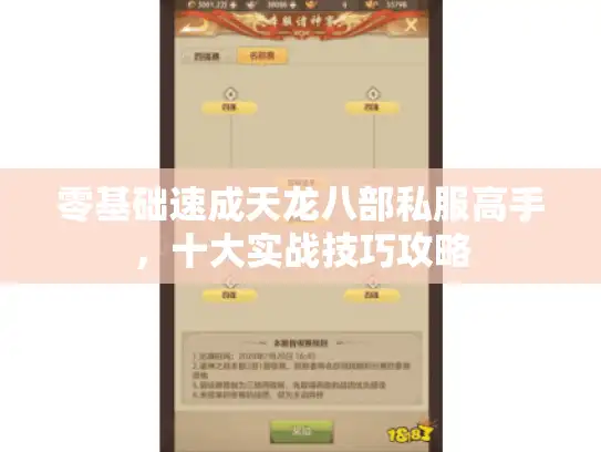 零基础速成天龙八部私服高手,十大实战技巧攻略 零基础速成天龙八部私服高手,十大实战技巧攻略