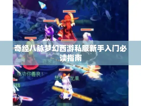奇经八脉梦幻西游私服新手入门必读指南