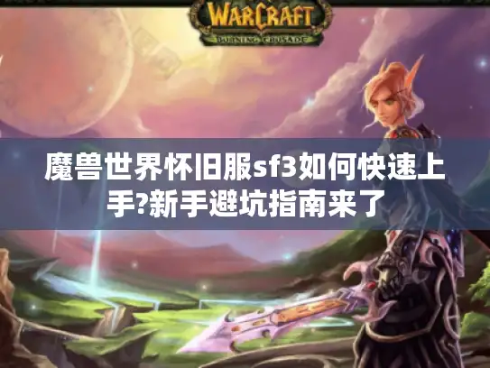 魔兽世界怀旧服sf3如何快速上手?新手避坑指南来了