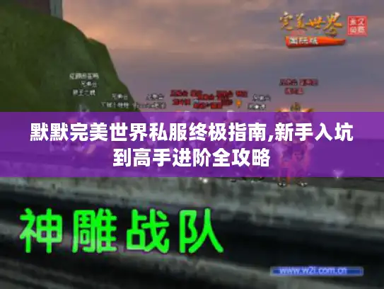 默默完美世界私服终极指南,新手入坑到高手进阶全攻略