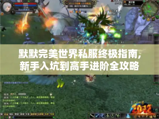 默默完美世界私服终极指南,新手入坑到高手进阶全攻略