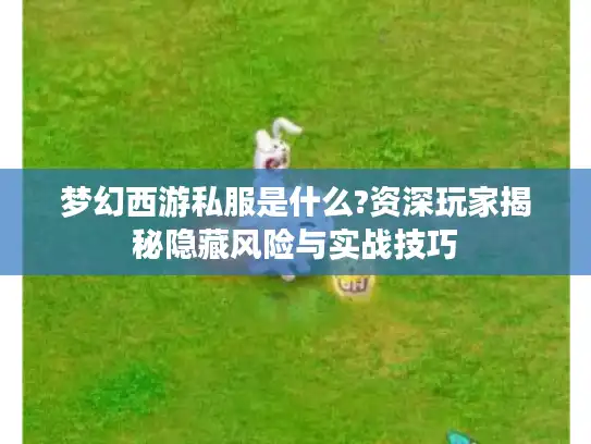 梦幻西游私服是什么?资深玩家揭秘隐藏风险与实战技巧