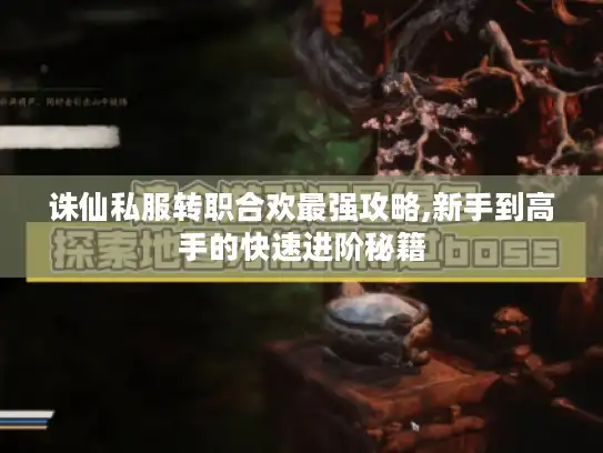 诛仙私服转职合欢最强攻略,新手到高手的快速进阶秘籍