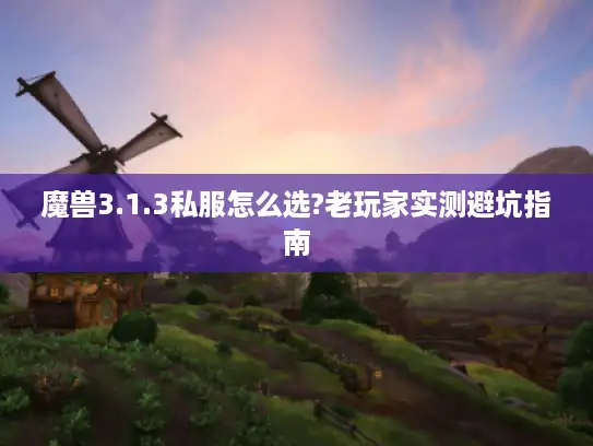 魔兽3.1.3私服怎么选?老玩家实测避坑指南
