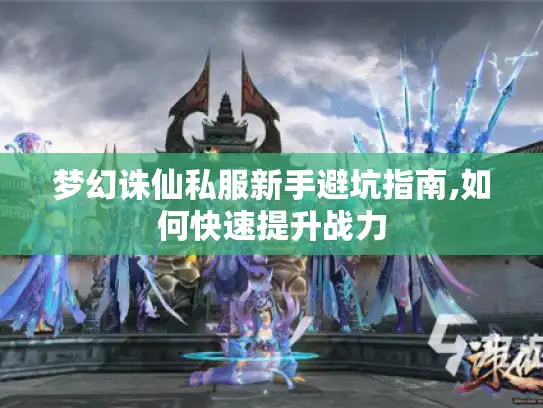 梦幻诛仙私服新手避坑指南,如何快速提升战力