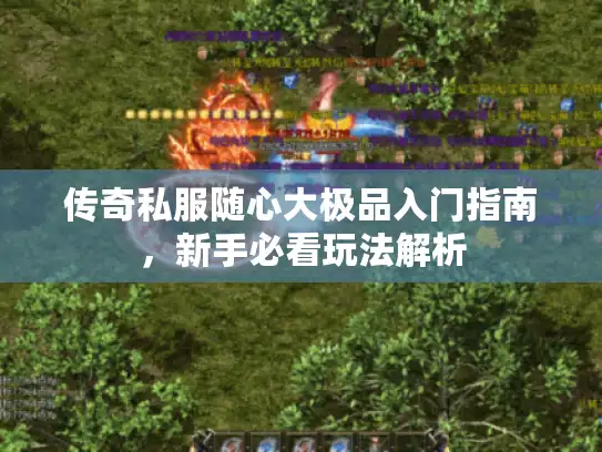 传奇私服随心大极品入门指南，新手必看玩法解析