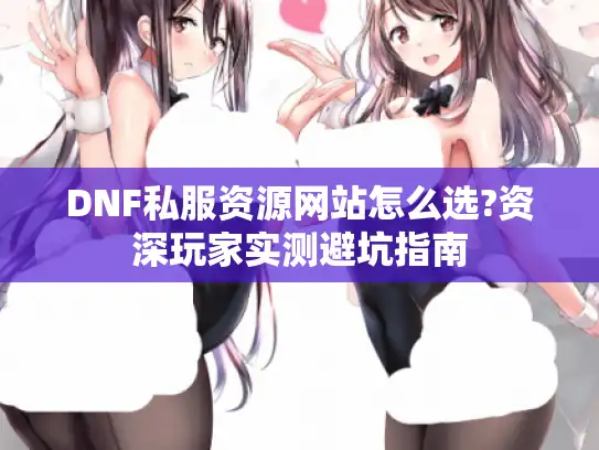 DNF私服资源网站怎么选?资深玩家实测避坑指南