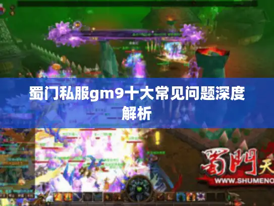 蜀门私服gm9十大常见问题深度解析 蜀门私服gm9十大常见问题深度解析