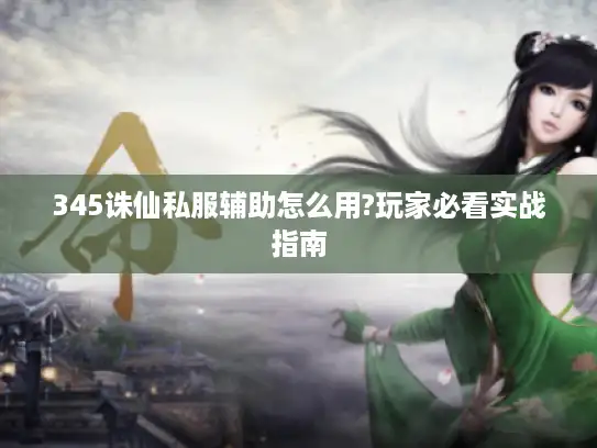 345诛仙私服辅助怎么用?玩家必看实战指南