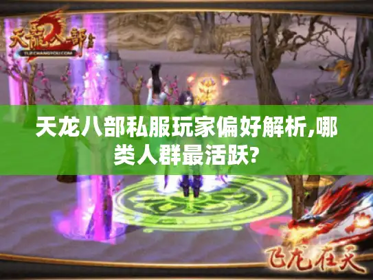 天龙八部私服玩家偏好解析,哪类人群最活跃?