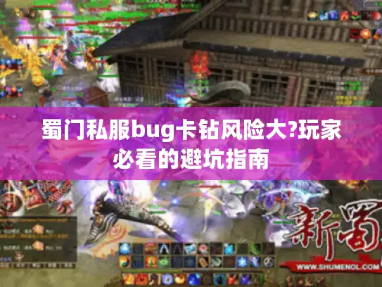 蜀门私服bug卡钻风险大?玩家必看的避坑指南