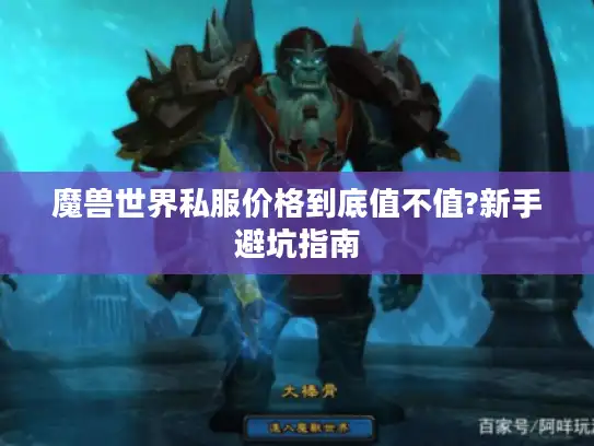 魔兽世界私服价格到底值不值?新手避坑指南