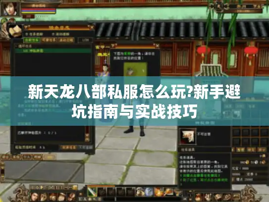 新天龙八部私服怎么玩?新手避坑指南与实战技巧 新天龙八部私服怎么玩?新手避坑指南与实战技巧