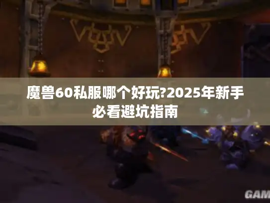 魔兽60私服哪个好玩?2025年新手必看避坑指南
