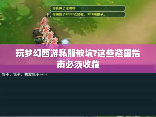 玩梦幻西游私服被坑?这些避雷指南必须收藏 玩梦幻西游私服被坑?这些避雷指南必须收藏