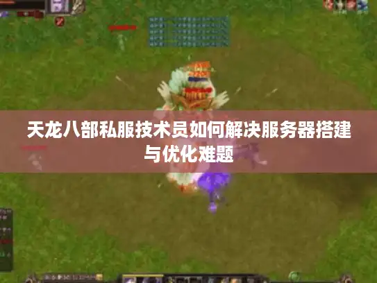 天龙八部私服技术员如何解决服务器搭建与优化难题