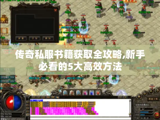 传奇私服书籍获取全攻略,新手必看的5大高效方法