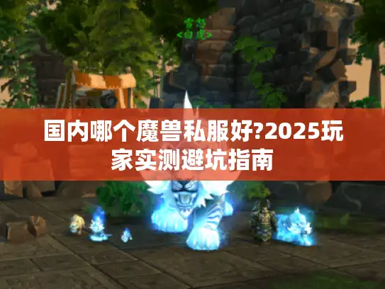 国内哪个魔兽私服好?2025玩家实测避坑指南