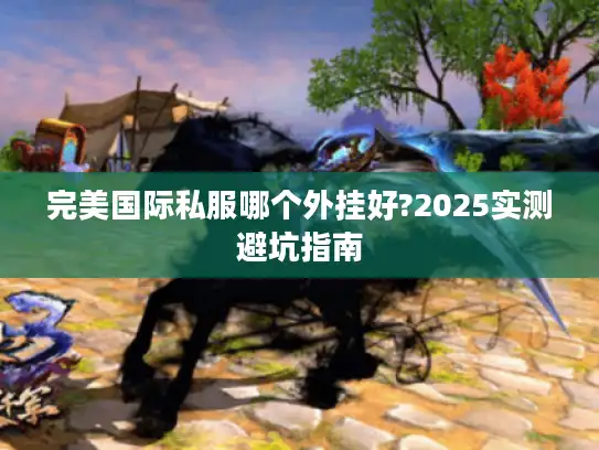 完美国际私服哪个外挂好?2025实测避坑指南 完美国际私服哪个外挂好?2025实测避坑指南