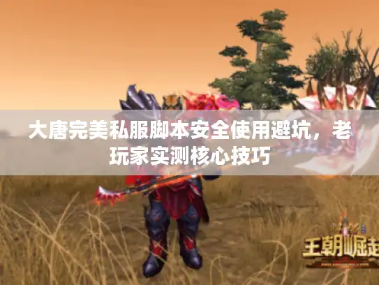 大唐完美私服脚本安全使用避坑，老玩家实测核心技巧