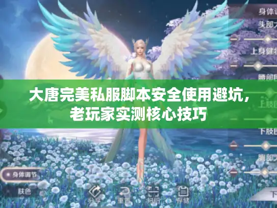 大唐完美私服脚本安全使用避坑，老玩家实测核心技巧