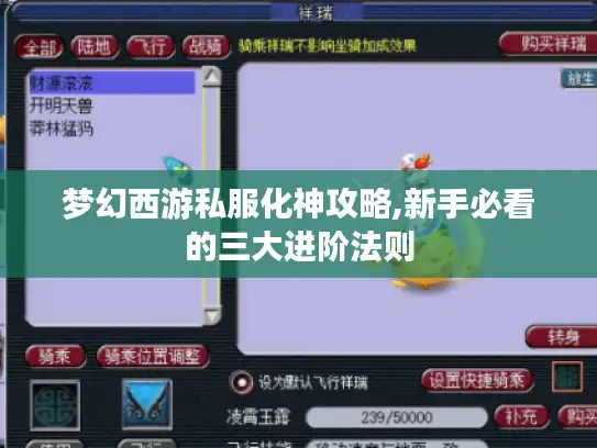 梦幻西游私服化神攻略,新手必看的三大进阶法则