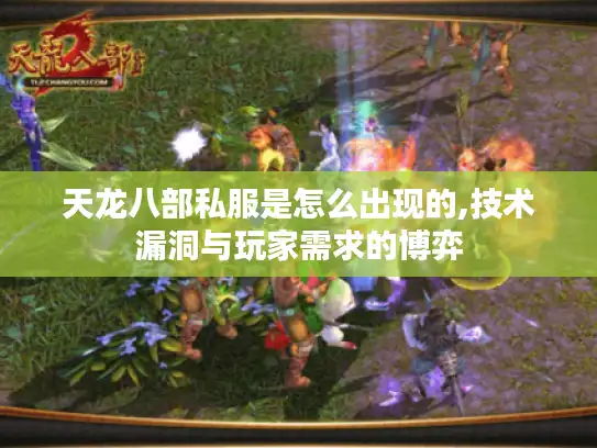 天龙八部私服是怎么出现的,技术漏洞与玩家需求的博弈