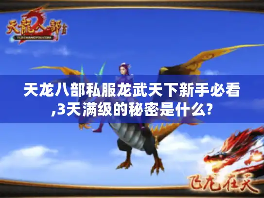 天龙八部私服龙武天下新手必看,3天满级的秘密是什么?