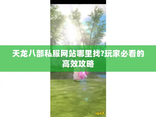 天龙八部私服网站哪里找?玩家必看的高效攻略