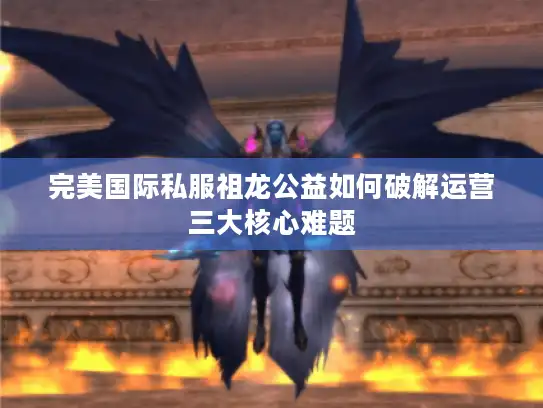 完美国际私服祖龙公益如何破解运营三大核心难题