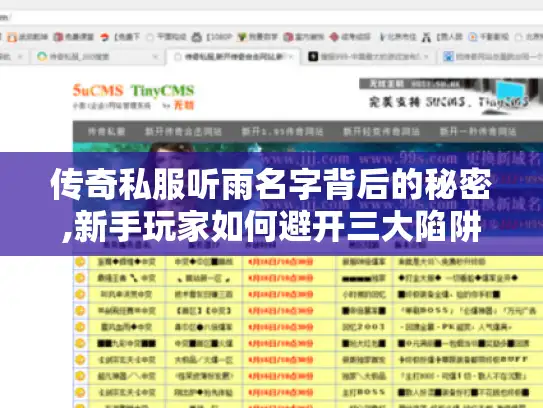 传奇私服听雨名字背后的秘密,新手玩家如何避开三大陷阱?