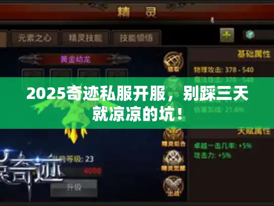 2025奇迹私服开服，别踩三天就凉凉的坑！