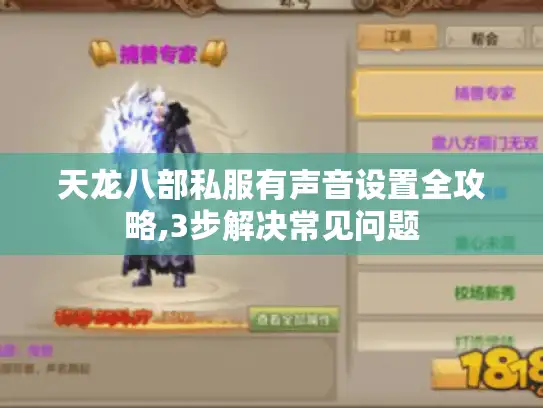 天龙八部私服有声音设置全攻略,3步解决常见问题