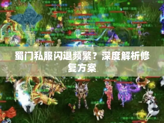 蜀门私服闪退频繁？深度解析修复方案