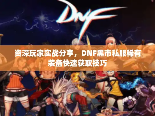资深玩家实战分享，DNF黑市私服稀有装备快速获取技巧