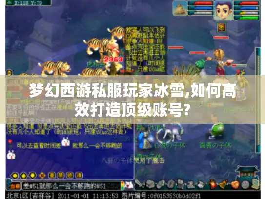梦幻西游私服玩家冰雪,如何高效打造顶级账号?