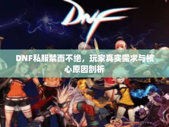 DNF私服禁而不绝，玩家真实需求与核心原因剖析