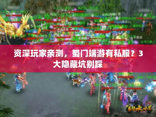 资深玩家亲测，蜀门端游有私服？3大隐藏坑别踩