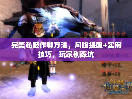 完美私服作弊方法，风险提醒+实用技巧，玩家别踩坑