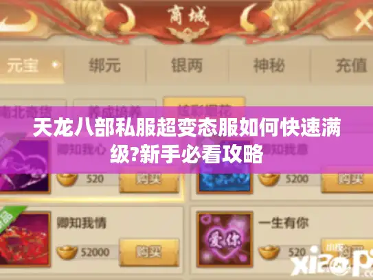 天龙八部私服超变态服如何快速满级?新手必看攻略