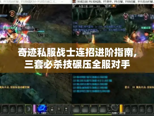 奇迹私服战士连招进阶指南,三套必杀技碾压全服对手