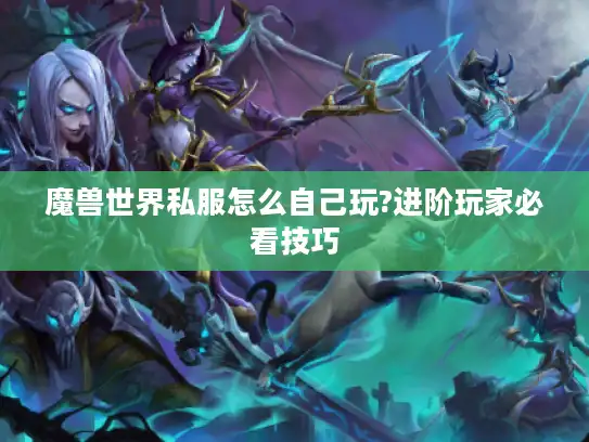 魔兽世界私服怎么自己玩?进阶玩家必看技巧