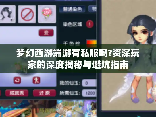 梦幻西游端游有私服吗?资深玩家的深度揭秘与避坑指南