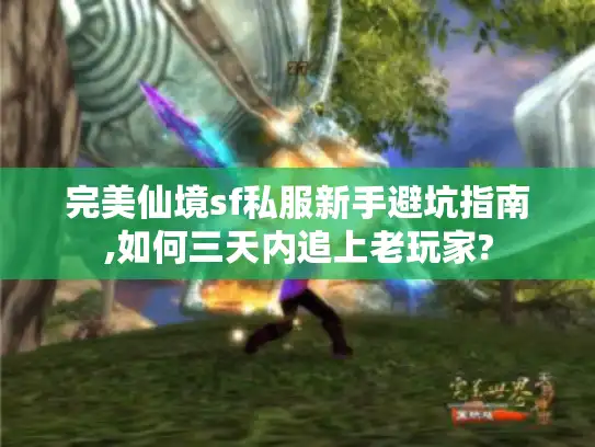 完美仙境sf私服新手避坑指南,如何三天内追上老玩家?